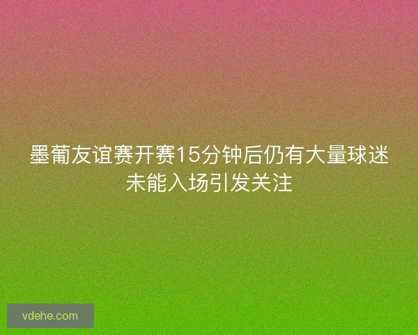 墨葡友谊赛开赛15分钟后仍有大量球迷未能入场引发关注